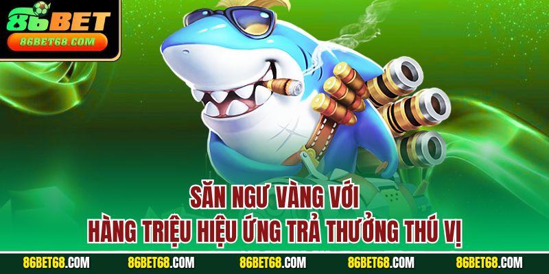 Săn ngư vàng với hàng triệu hiệu ứng trả thưởng thú vị Săn ngư vàng với hàng triệu hiệu ứng trả thưởng thú vị