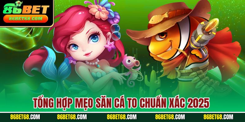 Tổng hợp mẹo săn cá to chuẩn xác 2025 